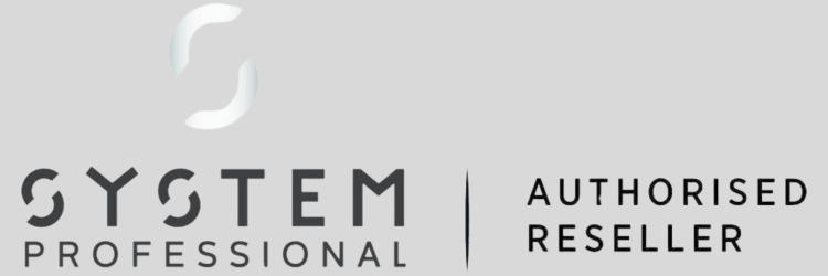 system professional logo